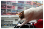 20080323_IMG_0021