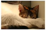 20080412_0096
