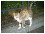 DSCN0268