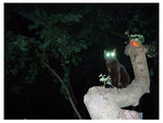DSCN0278