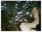 DSCN0280
