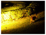 DSCN0283