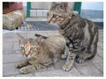 100_0015 copy