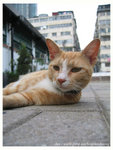 100_0032 copy
