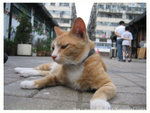 100_0033 copy