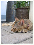 100_0054 copy