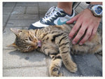 128_2874 copy