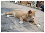 128_2879 copy