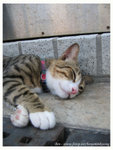 128_2887 copy