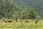 2009_07_20_IMG_1521
