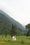 2009_07_20_IMG_1525