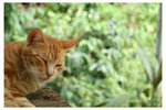 20080512_0256