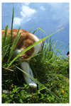 20080622_0428