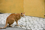 20091018-IMG_3060