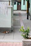 20091019-IMG_3194
