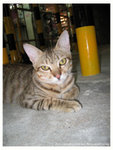 129_2963 copy