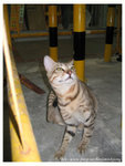 129_2967 copy