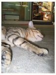 129_2970 copy