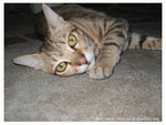 129_2976 copy