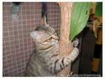 129_2992 copy