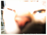 131_3185 copy