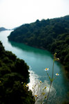 20101023-IMG_2313
