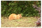 IMG_9490
