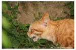 IMG_9497