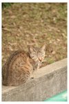 IMG_9506