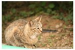 IMG_9508