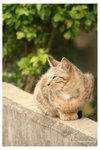 IMG_9509