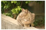 IMG_9510