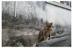 20080501_0162