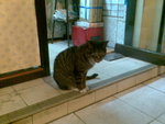 Image015