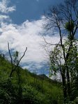 DSCN9955