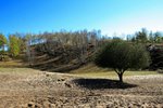 IMG_1648