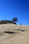 IMG_1671