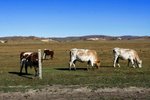 IMG_1674