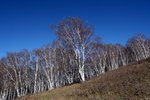 IMG_1721