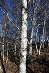 IMG_1745