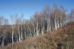 IMG_1757