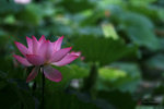 IMG_6789