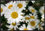 CRW_4300