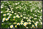 CRW_4318