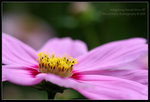 IMG_1872