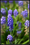 CRW_6499