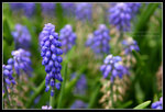 CRW_6500