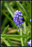 CRW_6503
