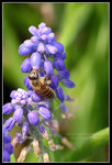 CRW_6504_2