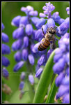 CRW_6506_2